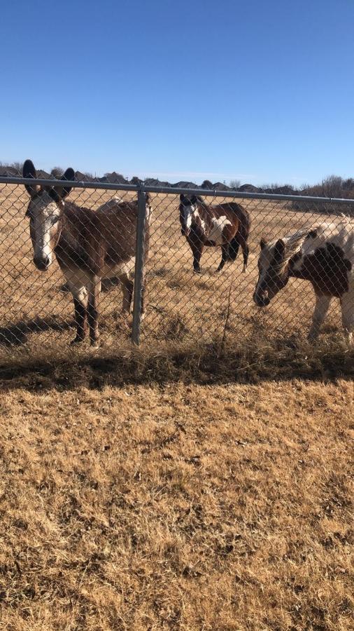 Orr Family Farm & Rr, Llc Vila Oklahoma City Exterior foto